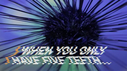 This Little Creature Actually Has Teeth and They’re Really Sharp