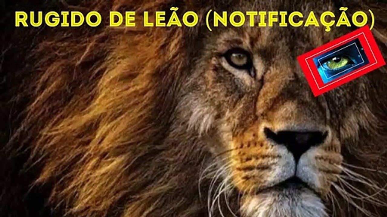Rugido de Leão (Notificação)