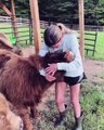 Instant cute ! Besoin de câlins... Regardez cette adorable vidéo de cette vache qui se fait chouchouter par sa propriétaire 