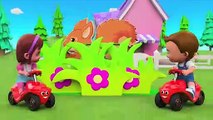 Little Babies Fun Play with Squirrel Shapes Puzzle Toy Set 3D _ Learning Shapes Kids Cartoon Videos