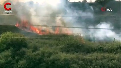 Nükleer Araştırma Merkezi'nde ağaçlık alanda yangın