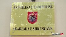 Shahini: Gjuha shqipe nuk përdoret mirë! Ligji për Akademinë e Shkencave i hap rrugën përafrimeve