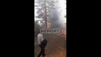 Report TV -Zjarr pranë Poligonit te Qyteti Studenti, përfshihet edhe një banesë