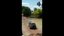 کروکودیل‌های خطرناک ترین جاده استرالیا را مسدود کردند