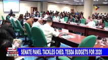 Senate panel tackles CHED, TESDA budget for 2020
