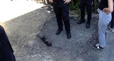 Karabük'te ayakları kesilmiş ölü kedi vatandaşları isyan ettirdi