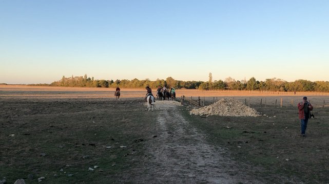 Les cow-boys du Sud Vendée à la conquête du marais