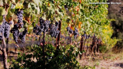 Americans Really Wanna Take a ‘Beercation’ (and A Lot of Us Already Have)