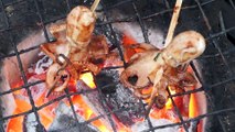 Cambodian Roadside Snacks Street Food - Baby Octopus and Salmon Grill (Sihanoukville)