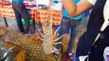 Vietnamese roadside snacks Street food - fried live lobster and tamarind sauce