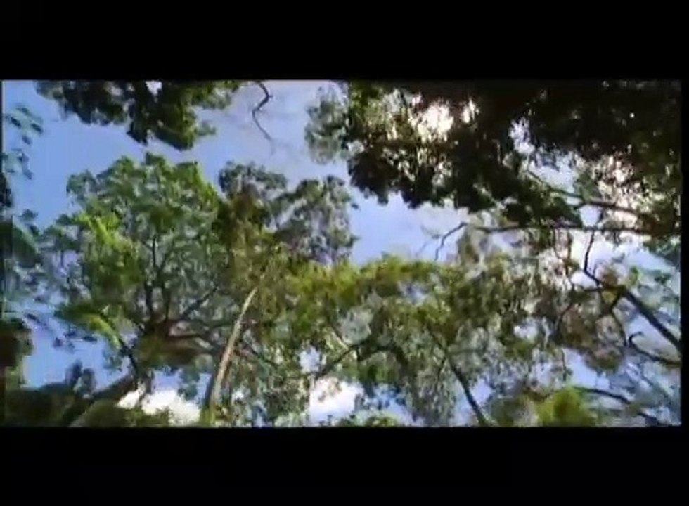 هيثم نبيل و نهال نبيل - الله اكبر - Haitham Nabil & Nihal Nabil - Allah Akbar