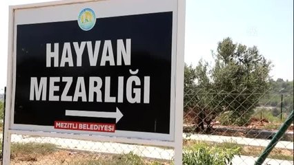 Yitirdikleri "can dostlarını" hayvan mezarlığında anıyorlar