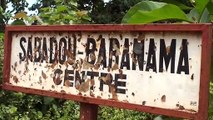 Kankan : plus de 100 hectares de champs de riz inondés à Sabadou Baranama (avec vidéo)