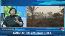 Tangkap Dalang Pembakar Hutan!