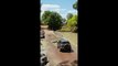 Vehicle stopped in its tracks by crocodiles lying in the road
