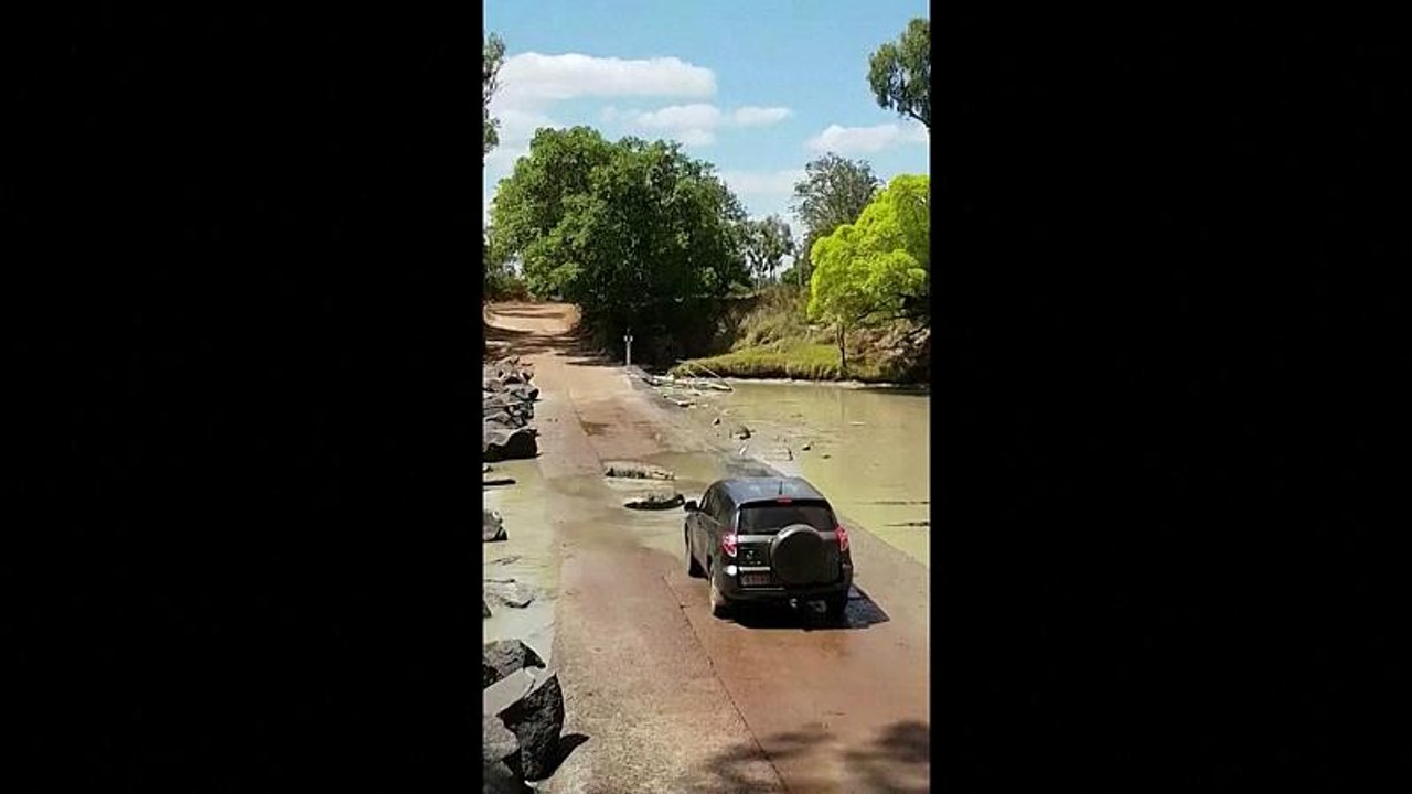 Vehicle stopped in its tracks by crocodiles lying in the road