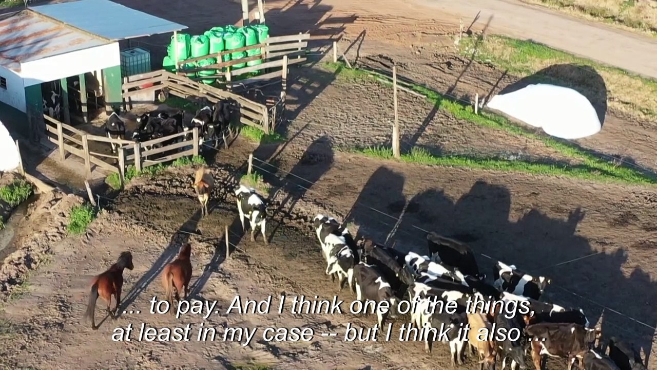 A Uruguayan couple struggles to keep their dairy farm in business