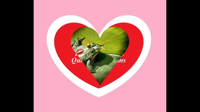 Continue dreaming and waiting your charming prince, kissing a frog! [Quotes and Poems]
