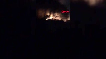 Ümraniye'de orman yangını; kısa sürede söndürüldü