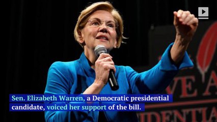 Sen. Elizabeth Warren Wants Washington, DC to Be 51st State