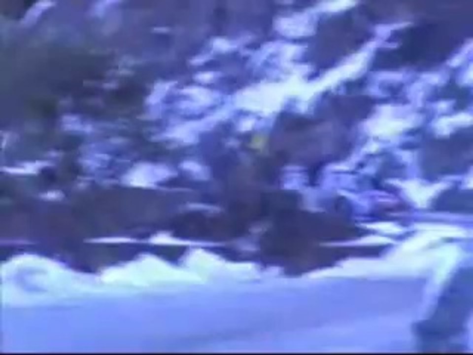 rallye wrc Loeb et Elena