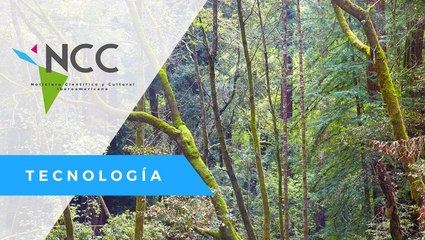 Autoridades presentan aplicación para combatir la deforestación en tiempo real