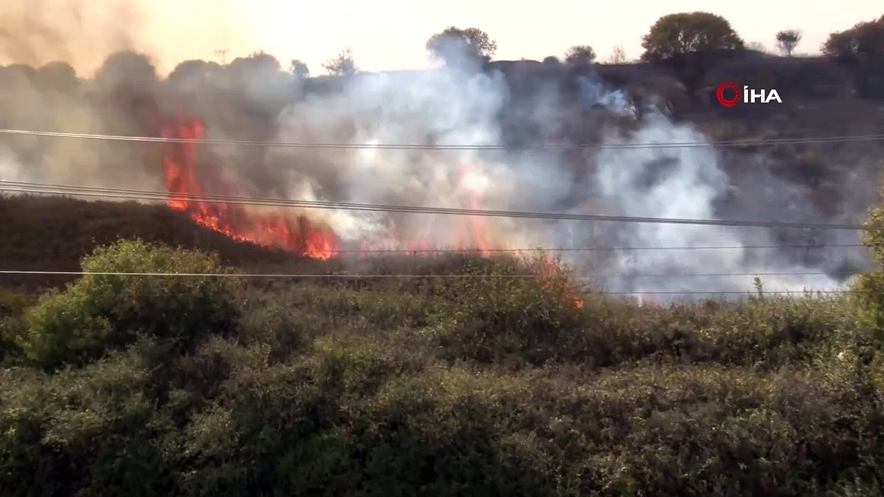 Küçükçekmece'de Nükleer Araştırma Merkezi'nin içerisinde bulunan ağaçlık alanda yangın çıktı