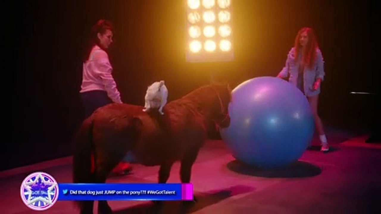 ADVENTURES OF DALLY AND SPANKY movie Clip - Cutness and Expertise