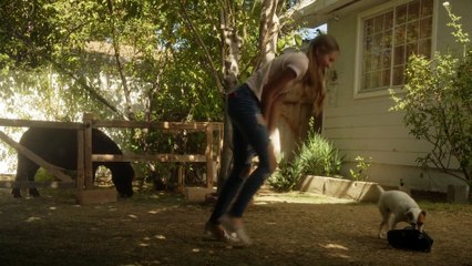 ADVENTURES OF DALLY AND SPANKY movie Clip - Teaching Tricks