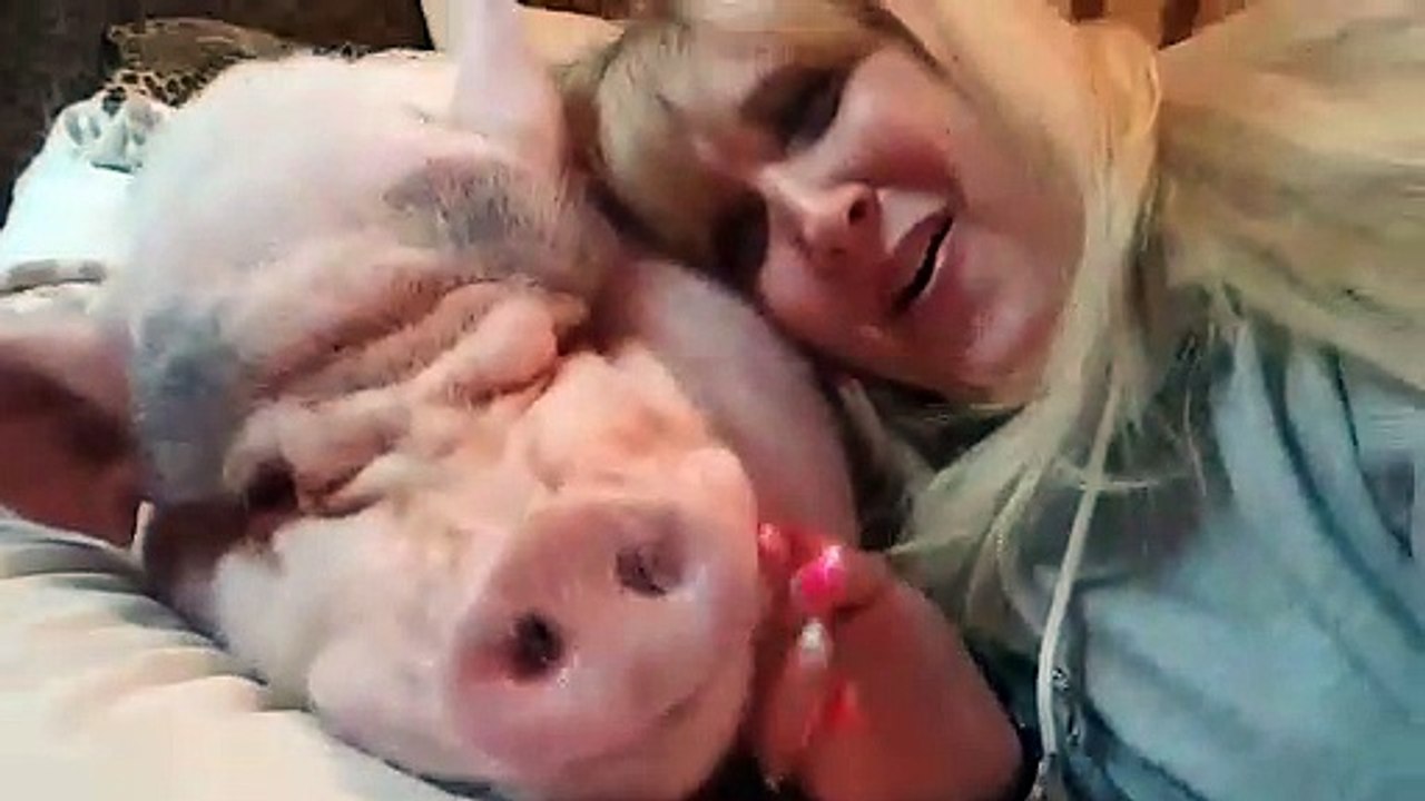 Mom Surprises Her Mini Pig
