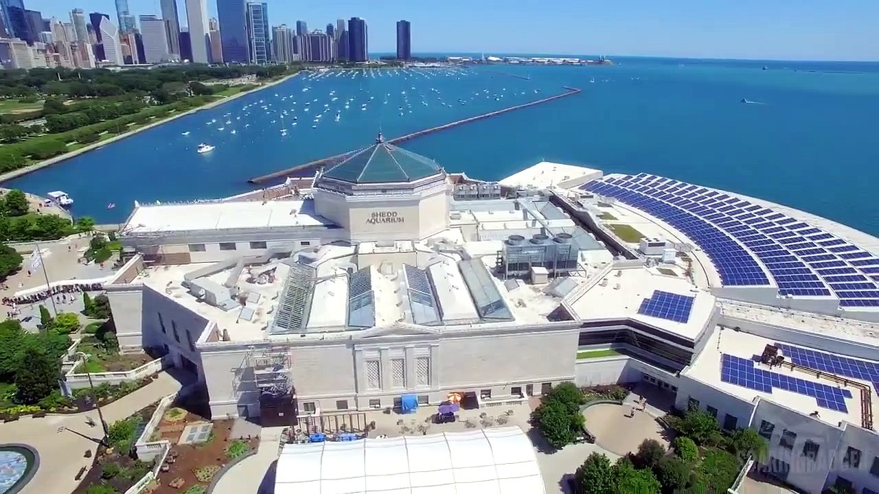 Chicago Summer Finale 4K