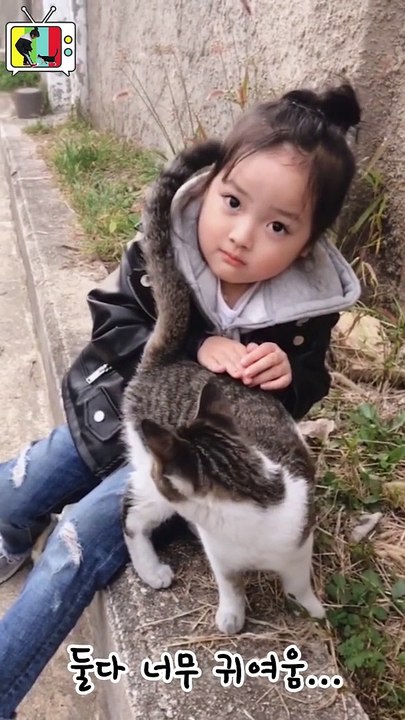 Cats and udee