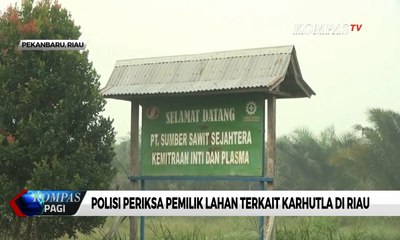 Walhi: Umumkan Perusahaan yang Terlibat Kasus Karhutla
