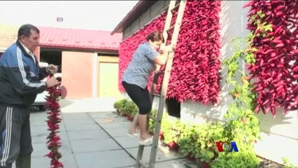 မဇၩိမအတြက္ ဗီြအိုေအ သတင္းလႊာ (၀၉-၂၃-၂၀၁၉)