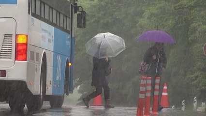 [날씨] 내륙 구름 많고 선선...제주 태풍 '타파' 영향 비 / YTN