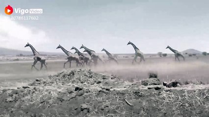 Its called Nature
