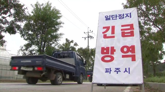 의심 신고 농장 철저히 통제...인근 농가 바짝 긴장 / YTN