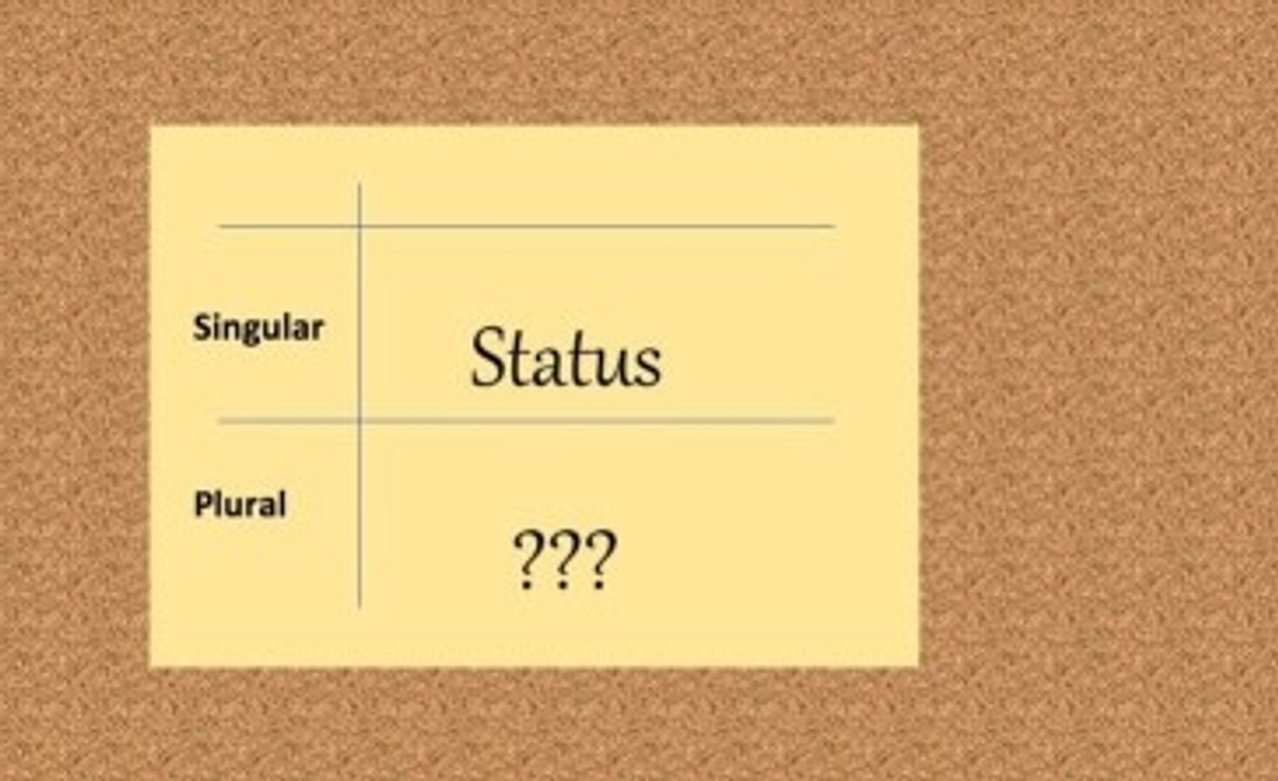 Rechtschreibung: Status im Plural?
