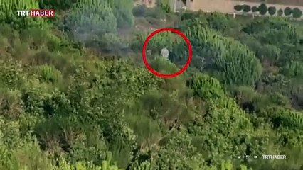 İstanbul'da orman kundaklayan 1 kişi gözaltına alındı