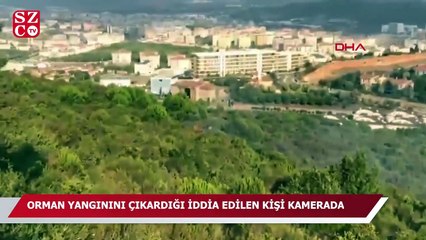 Pendik’teki orman yangınıyla ilgili bir kişi gözaltında
