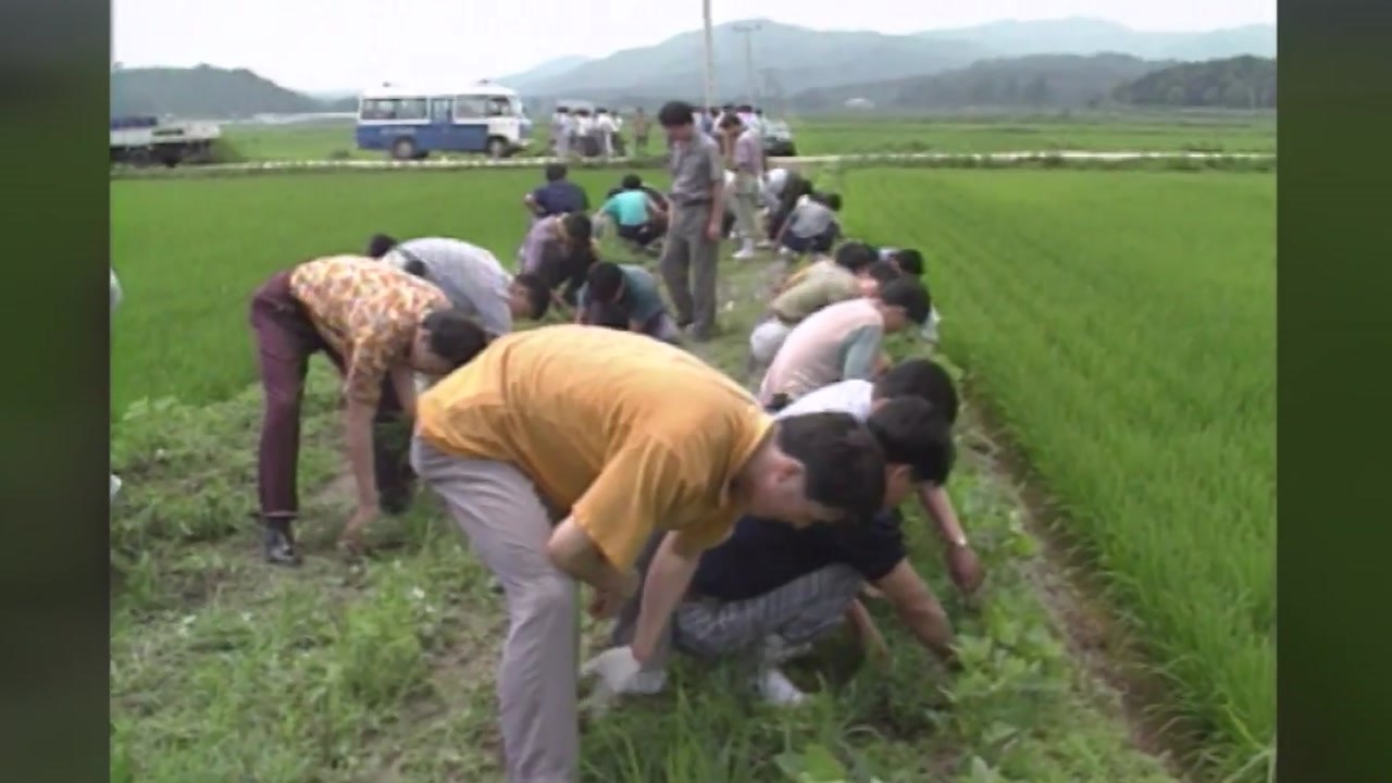 화성 연쇄살인·개구리 소년 실종...미제사건 풀릴까 / YTN