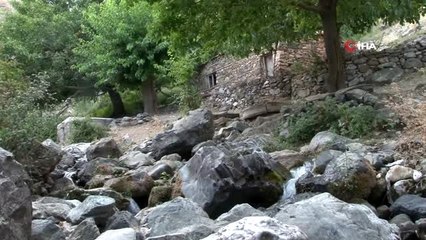 Çocuklarını büyüttüğü, geçimini sağladığı su değirmeni yarım asrın ardından bu yıl durdu