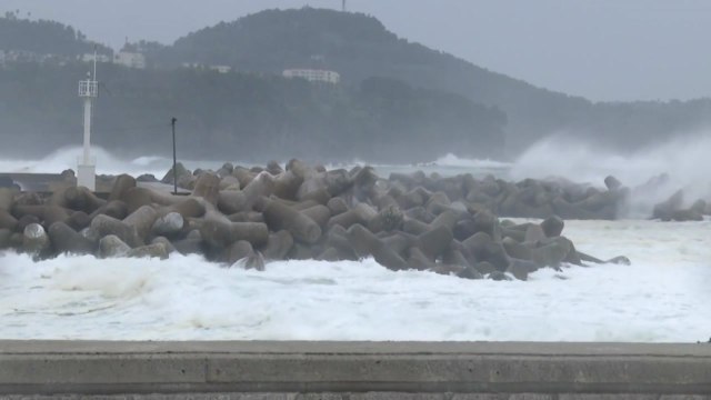 [날씨] 태풍 '타파', 일요일 직접 영향...600mm 폭우, 초속 45m 강풍 / YTN