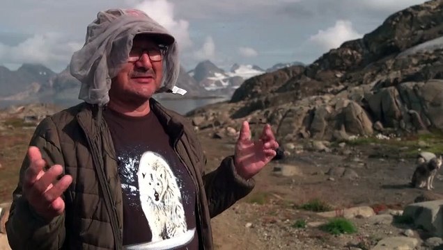 Klimawandel: Keine Zukunft für Grönlands Schlittenhunde?
