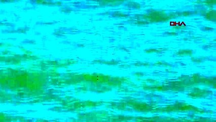 Yunus avına karşı 'olimpiyatları boykot' çağrısı