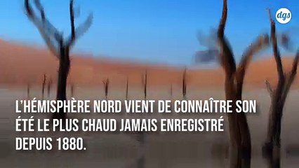 L'hémisphère nord vient de connaitre l'été le plus chaud jamais enregistré