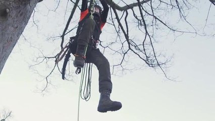 Modern Apprenticeship in Trees & Timber