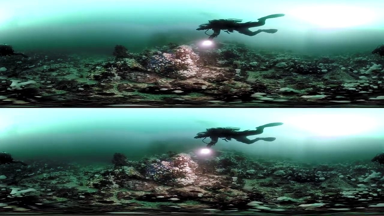 Dive with a Giant Pacific Octopus and Wolf Eel in 3D 360 - Our Blue Planet  VR - BBC Earth