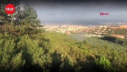 Pendik’teki orman yangınıyla ilgili bir kişi gözaltında