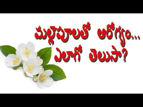 Amazing Medicinal Values in jasmine || Health benefits with Jasmine